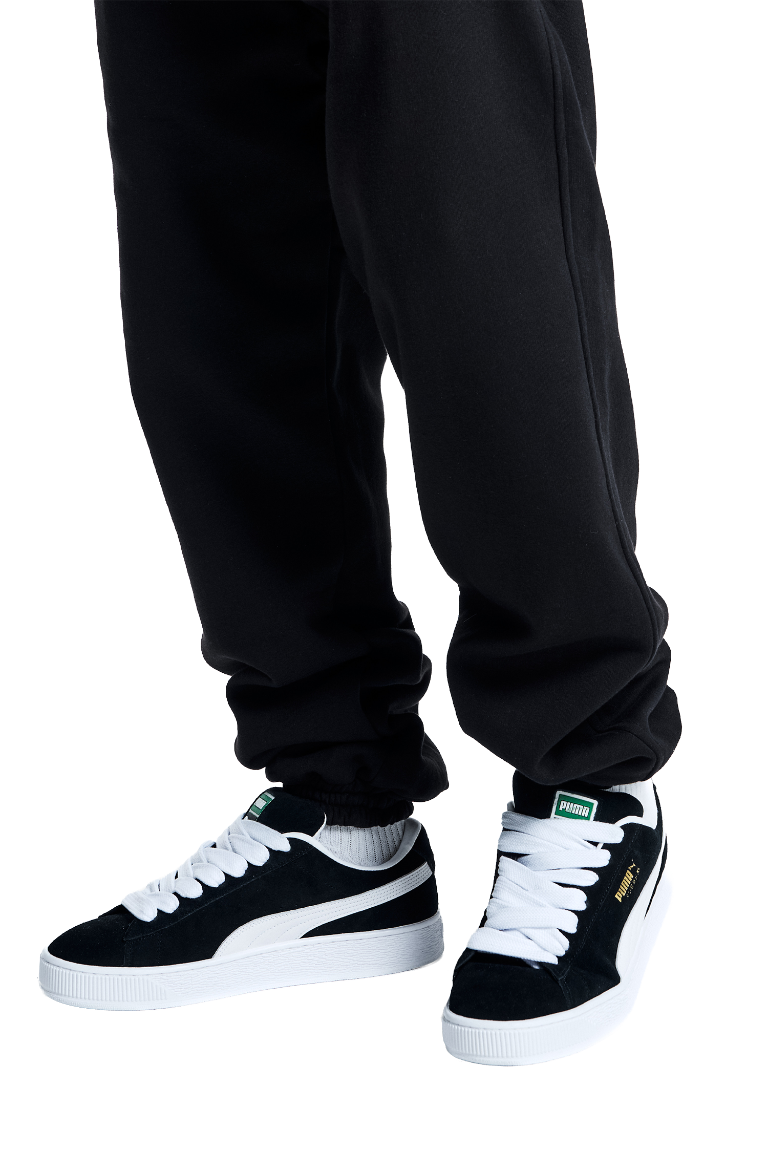 BASIC V2+ Jogger