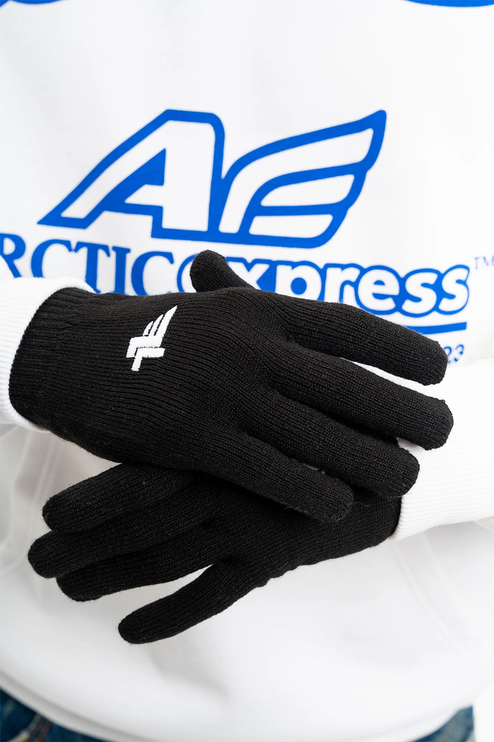 Arctic Gloves Black
